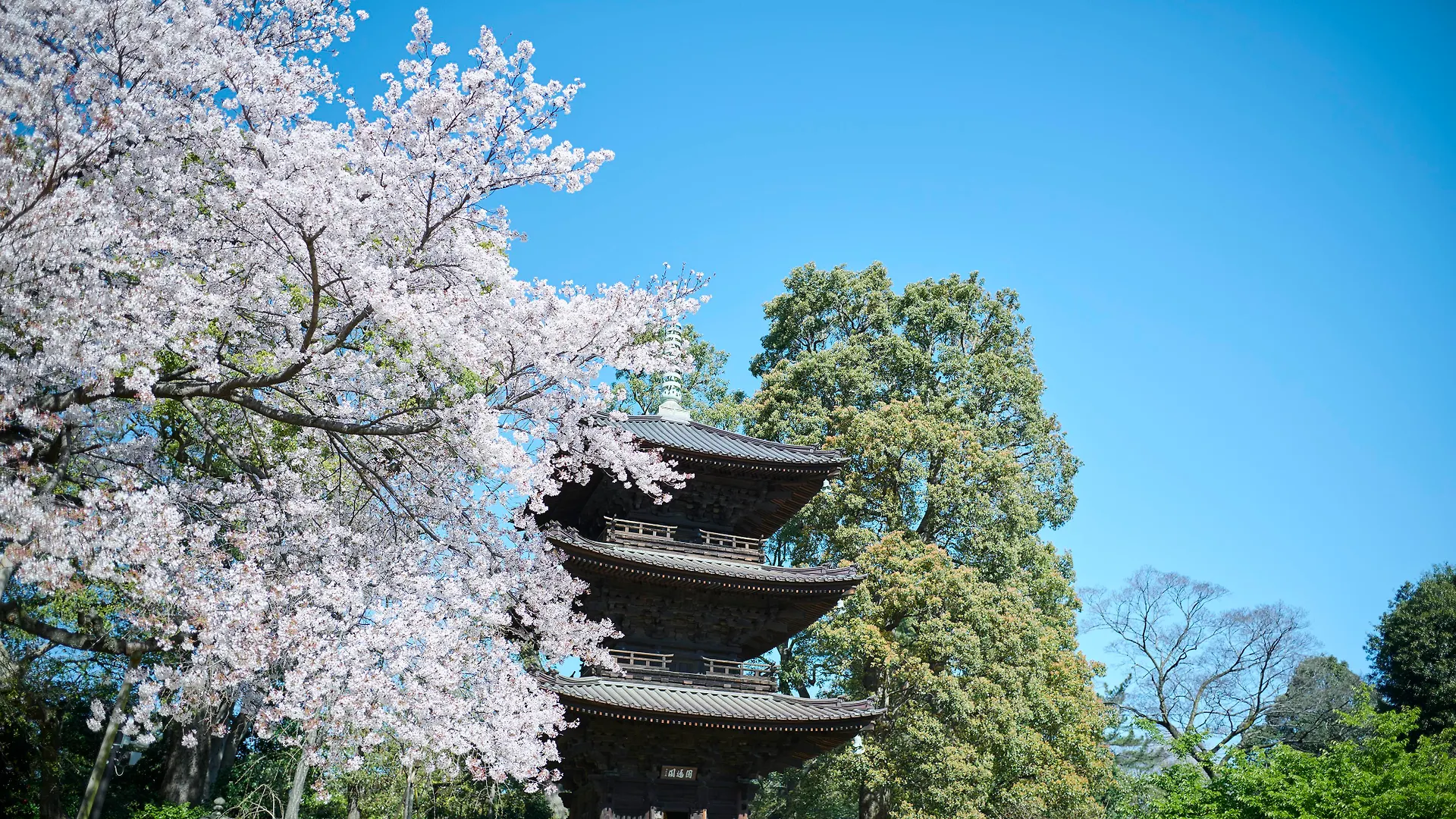 Hotel Chinzanso Tokio