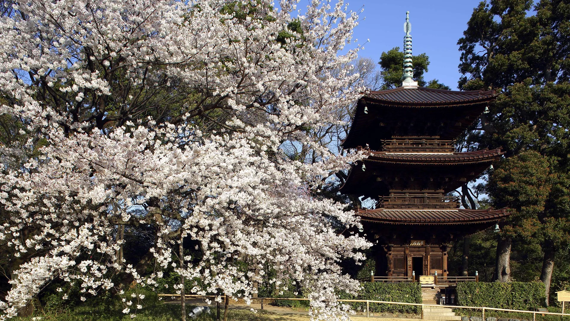 Hotel Chinzanso Tokio